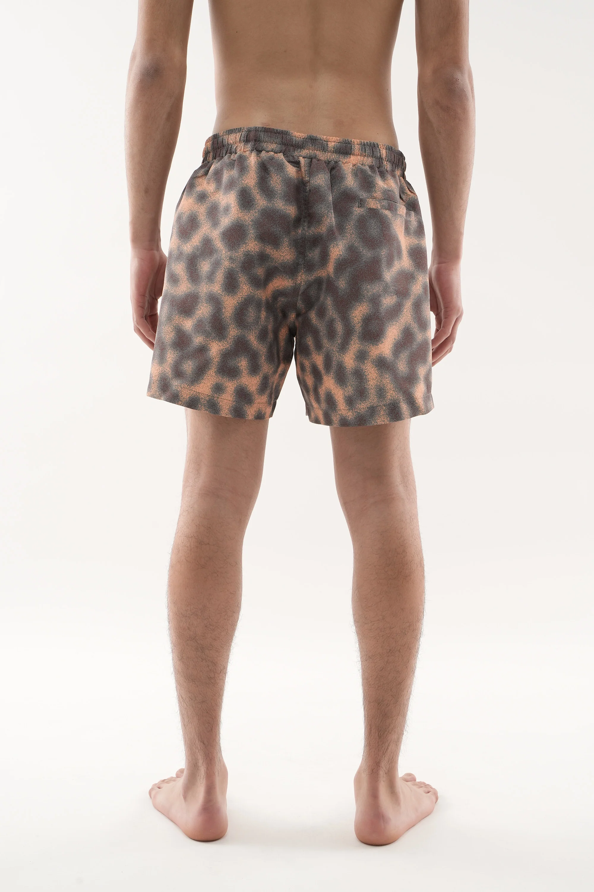 Cheetah Brown Swimpants - Image 6