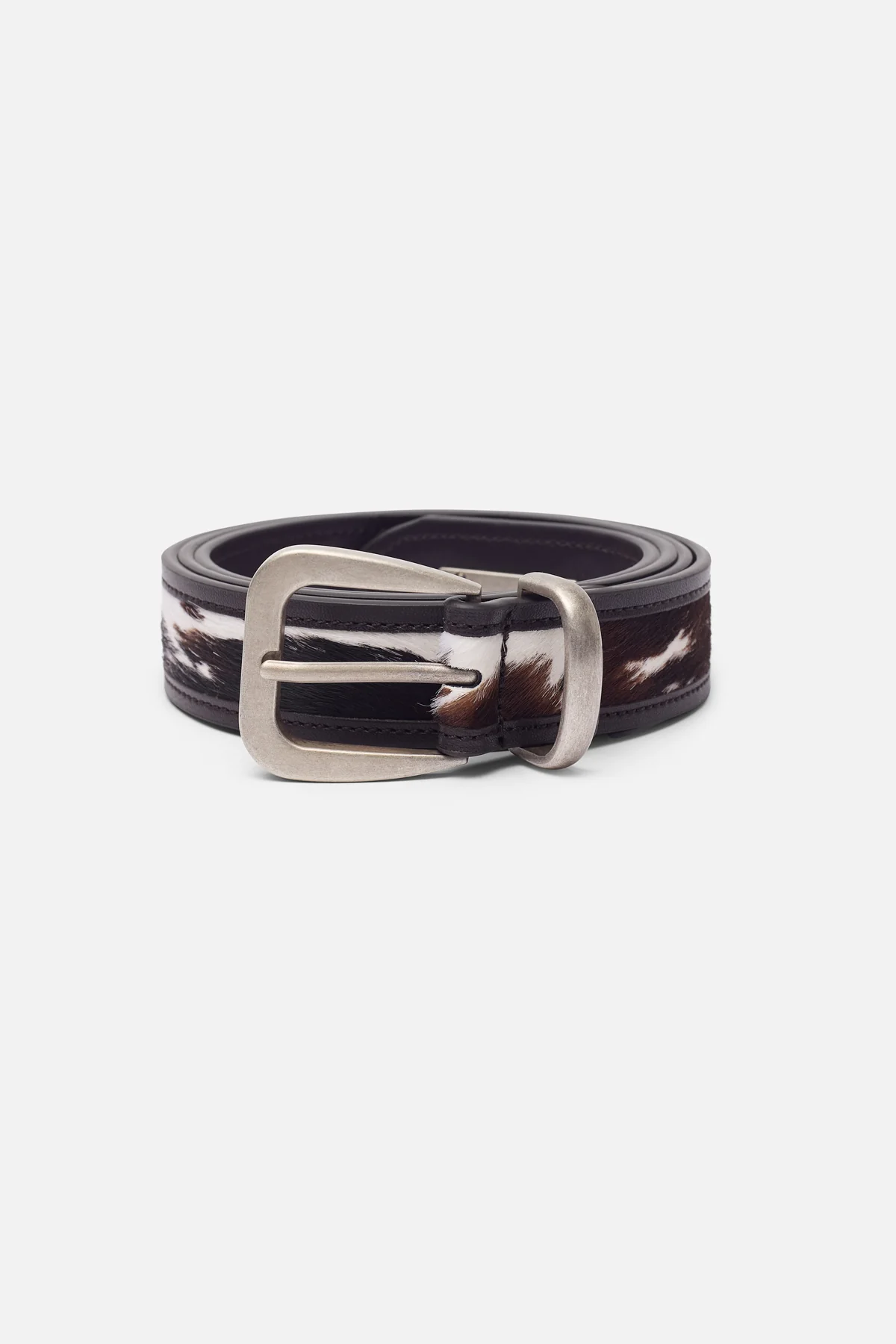 Sabana Cow Belt - Image 2